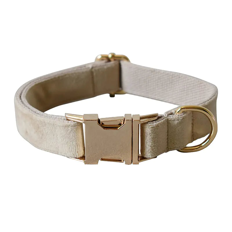 Brook's Velvet Collar & Leash