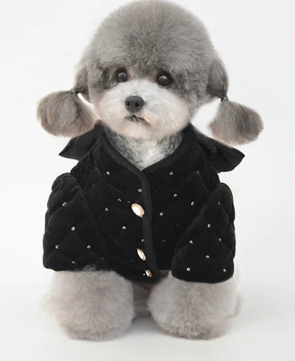 Prim and Proper Pet Coat