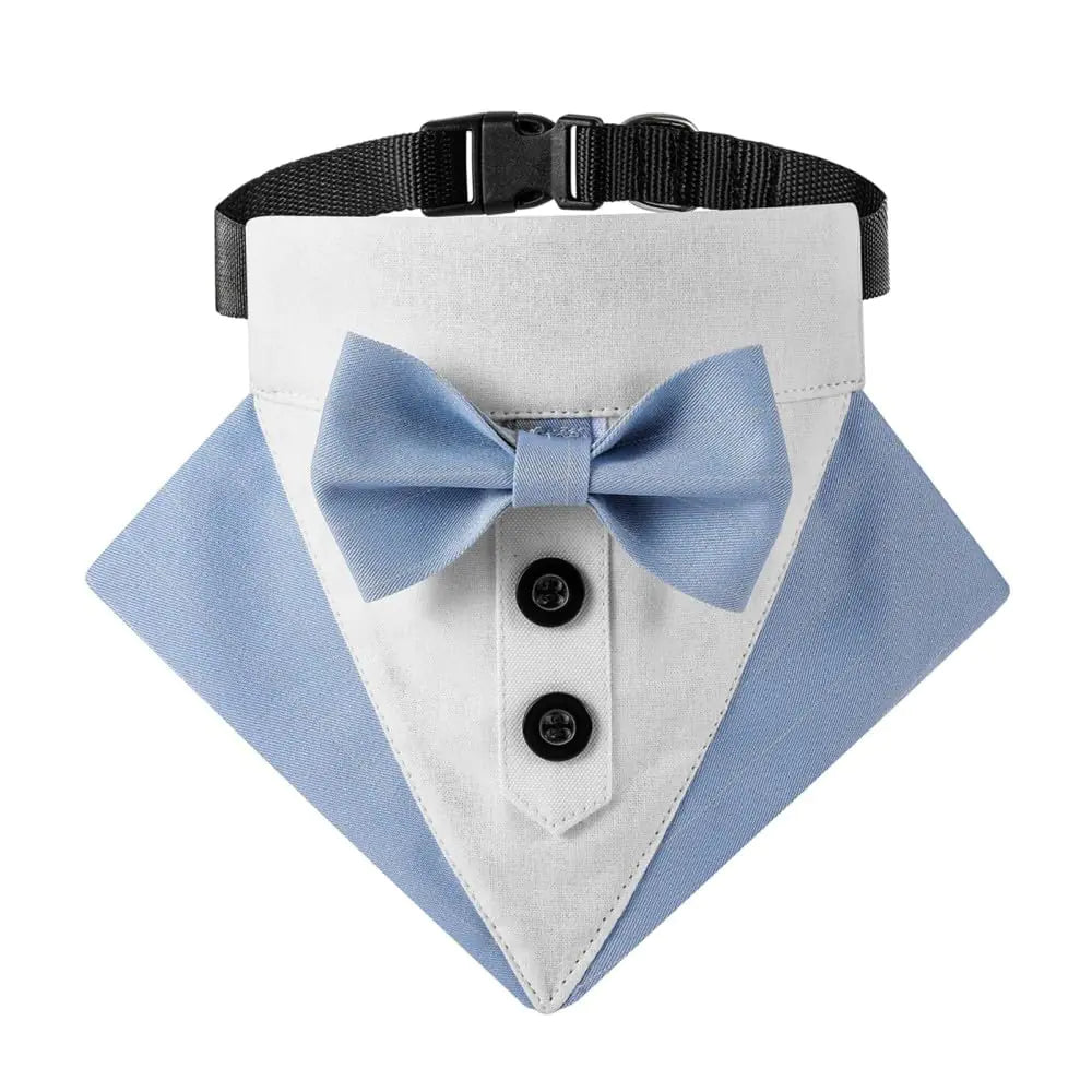 Rome's Tuxedo Collar