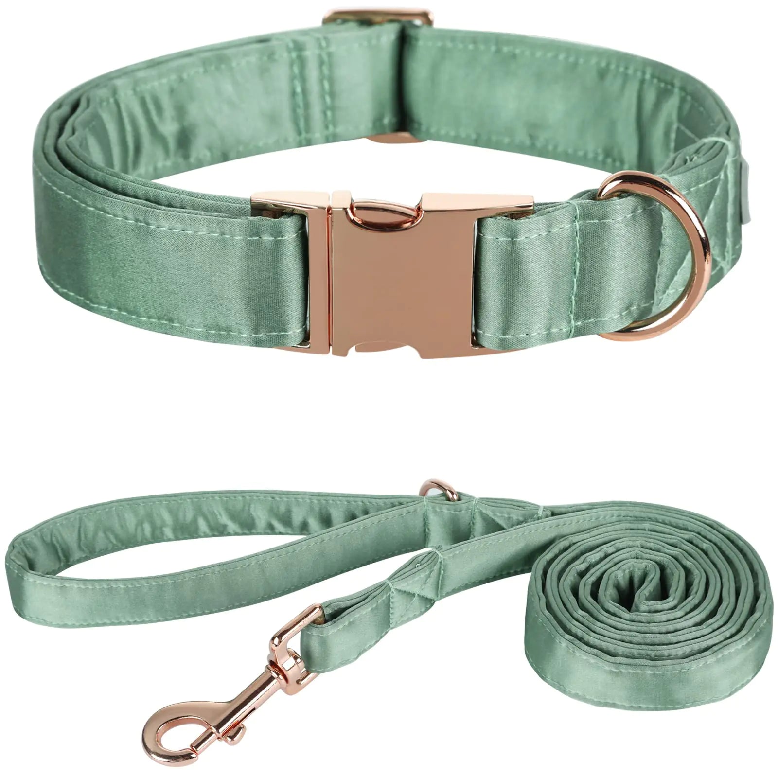 Beau's Silk Collar and Leash