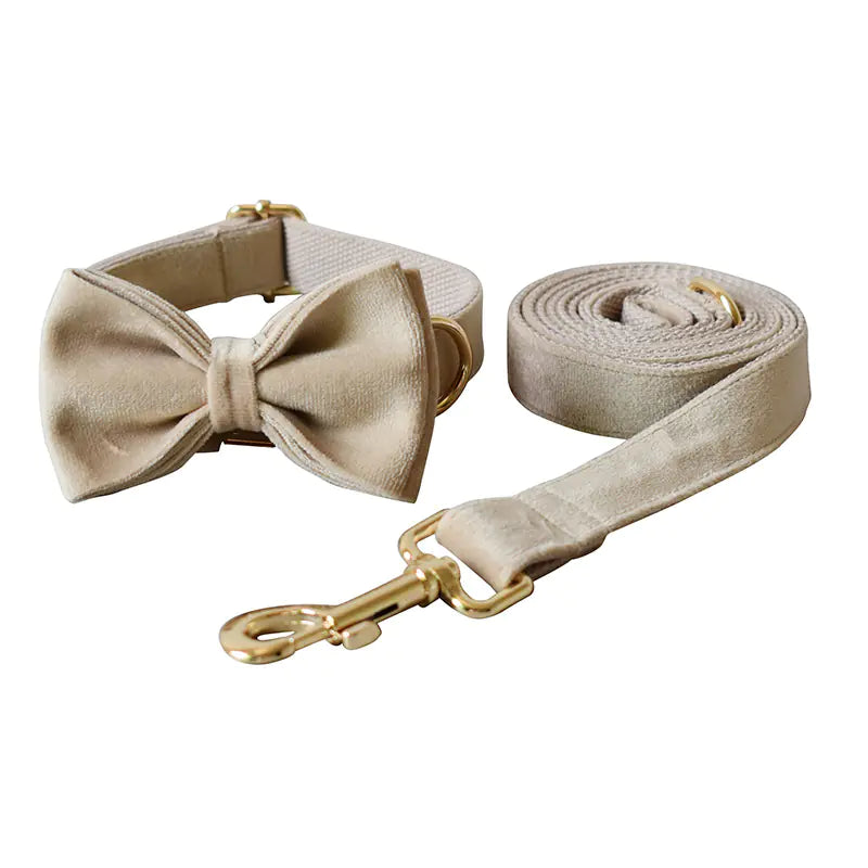 Brook's Velvet Collar & Leash