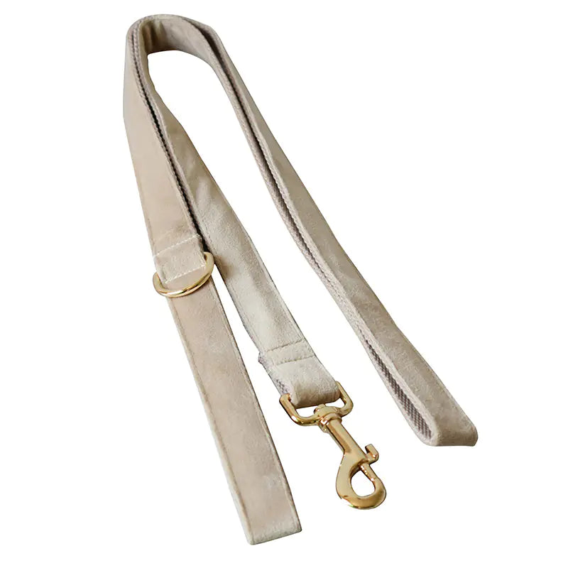 Brook's Velvet Collar & Leash