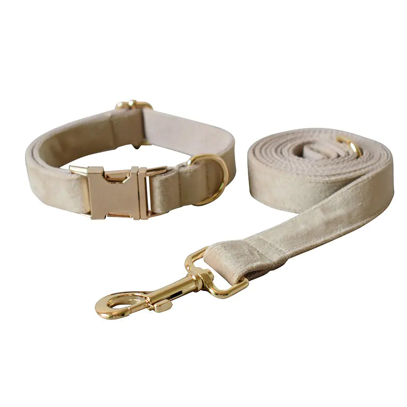 Brook's Velvet Collar & Leash